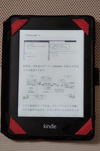 Kindle Paperwhite での表示